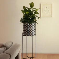 Nexum Optical 80 Black Chachepot