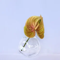 Nuvola Crystal Vase