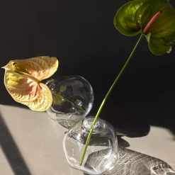 Nuvola Crystal Vase