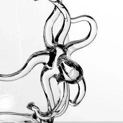 Octopus Glass