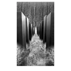 Omaggio alla Memoria Photograph