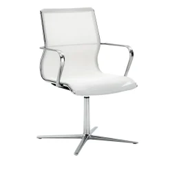 OMEGA MEETING chair