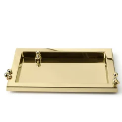 Omini Tray in Polished Brass By Stefano Giovannoni
