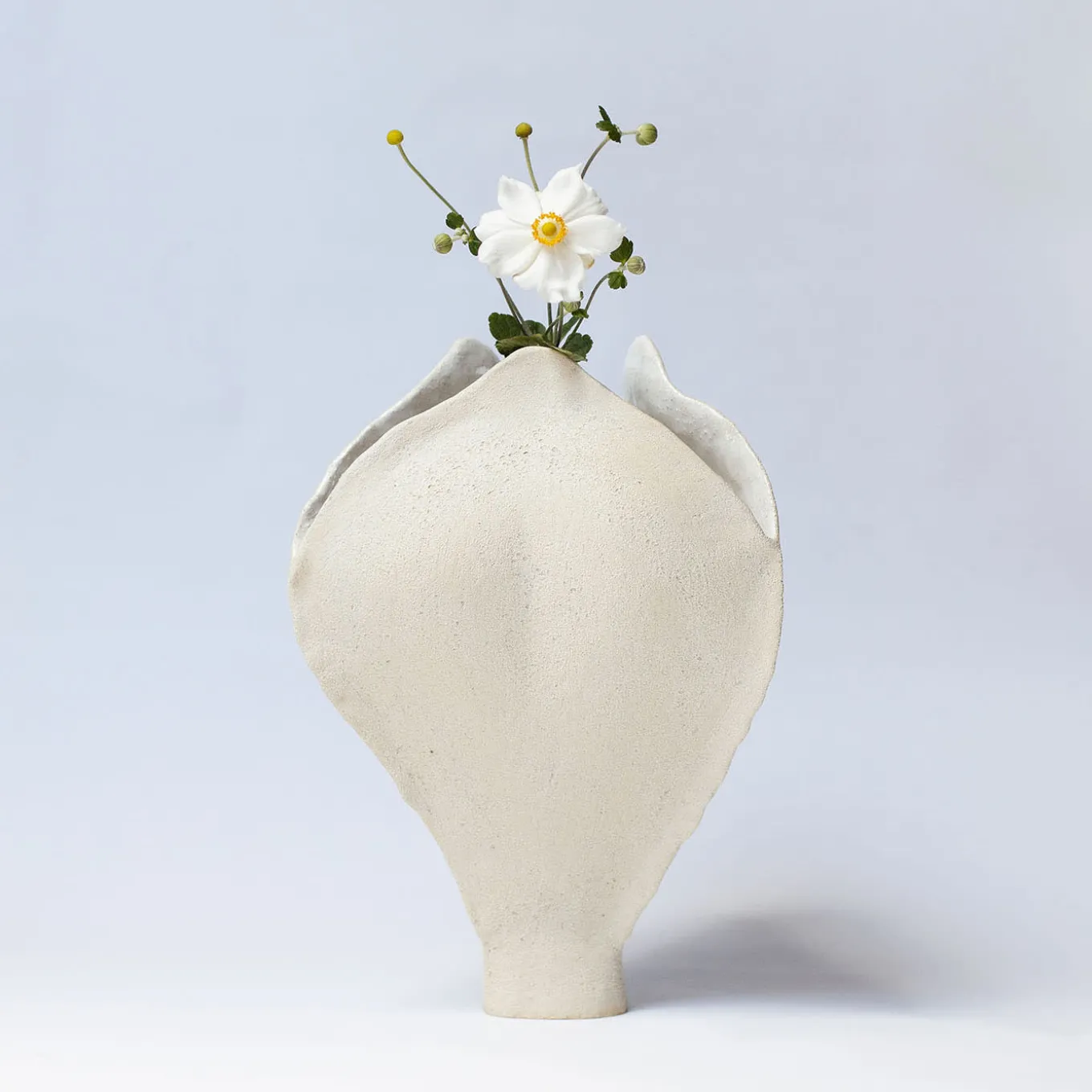 Ossa Iris White Glazed Stoneware Vase