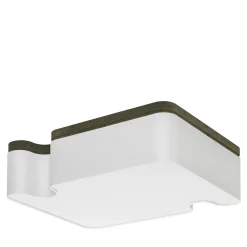 Ossicle Ceiling Lamp