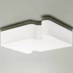 Ossicle Ceiling Lamp