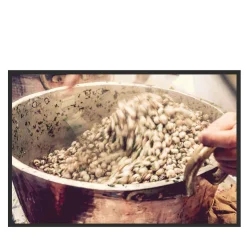 Palermo Babbaluci Photograph