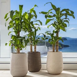 Panarea Gray Vase
