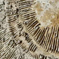 Panel "Espansione Sabbia"