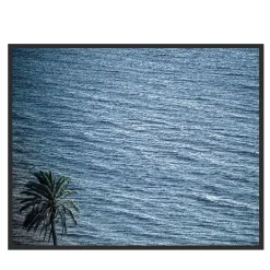 Pantelleria Palma di Scauri Photograph