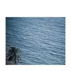 Pantelleria Palma di Scauri Photograph