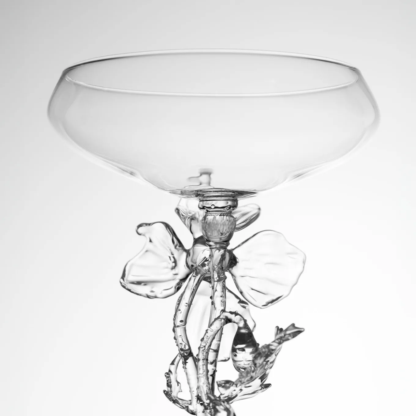 Papaver Rhoeas Cocktail Glass