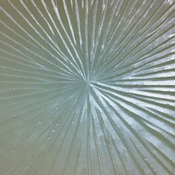 Pearly White Concave Wall Plate