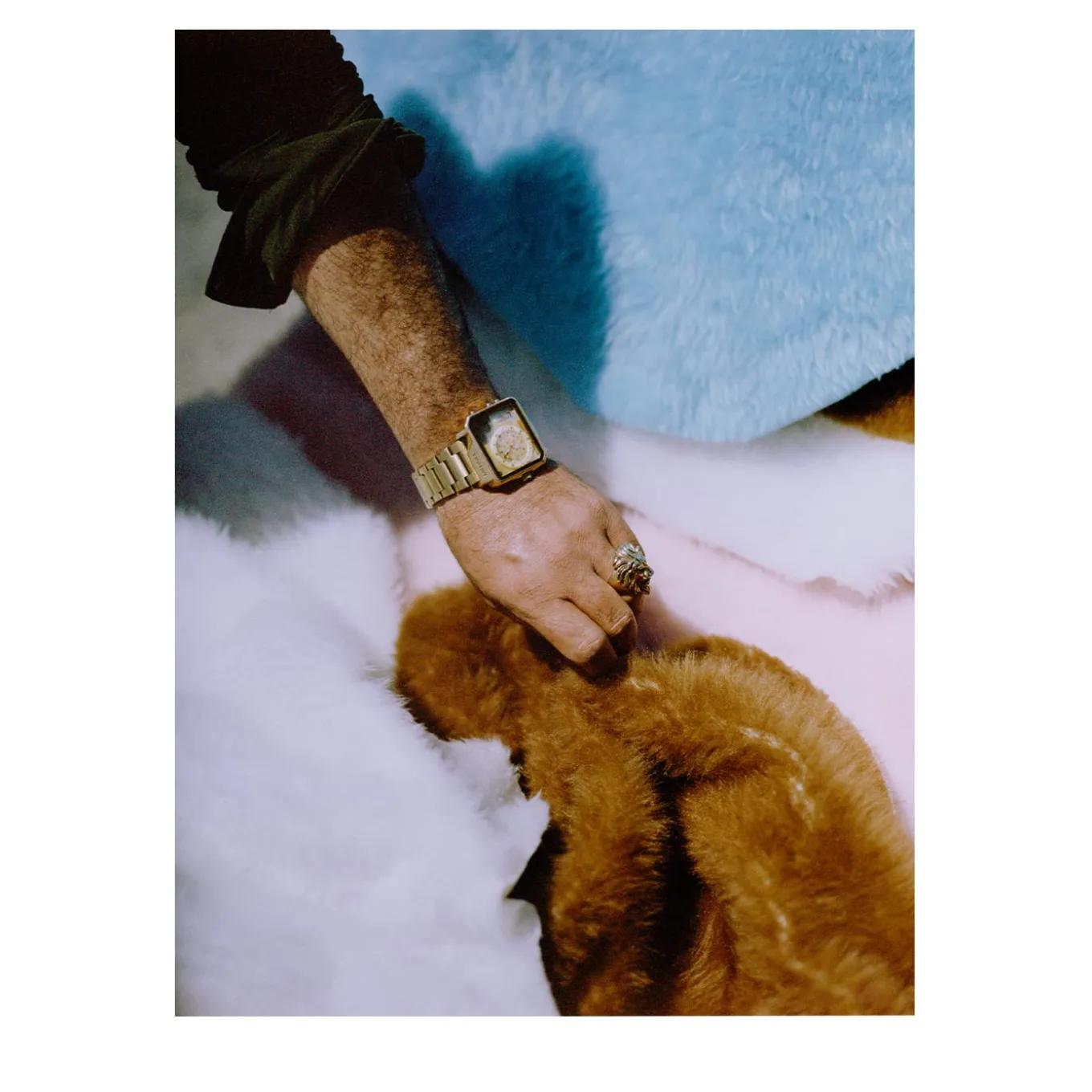 Peluches Photographic Print