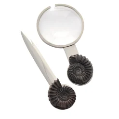 Pleuroceras Set of Magnifying Glass and Paper Knife by Nino Basso