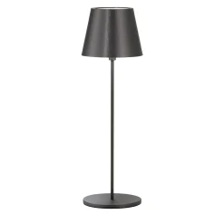 Polaris Circle Titanium & Brass Wireless Table Lamp by I. Harari