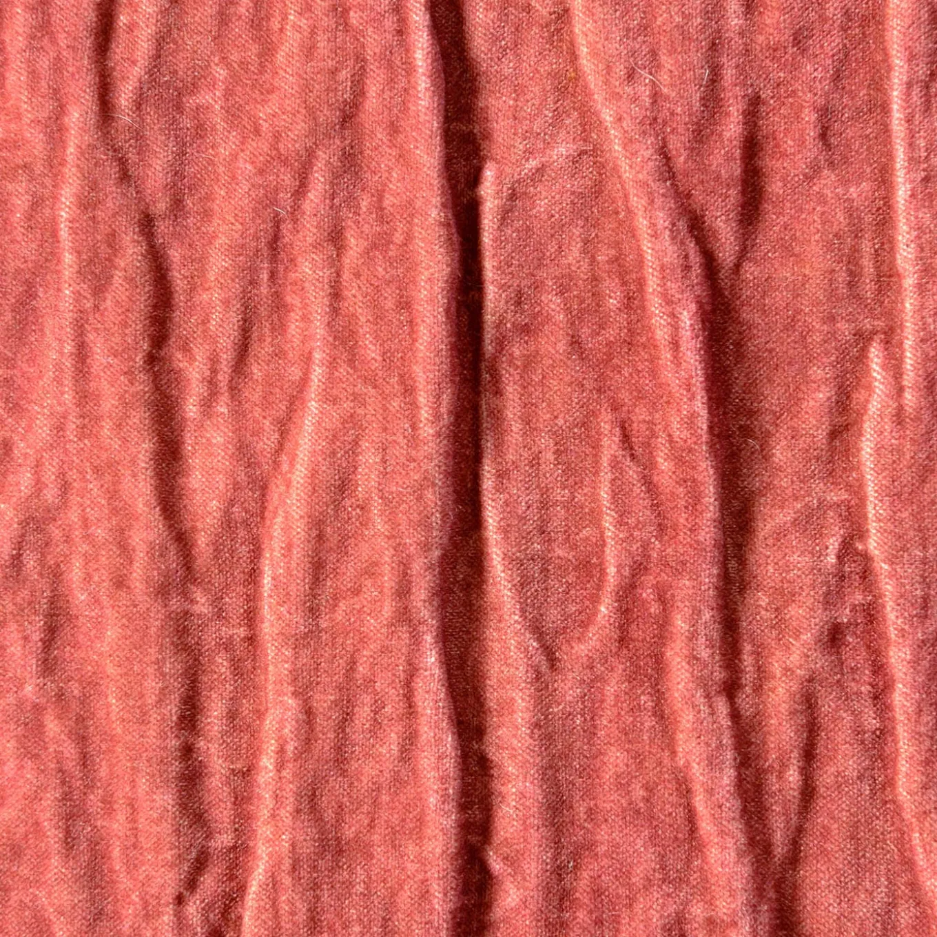 Potentilla Square Red Velvet Cushion