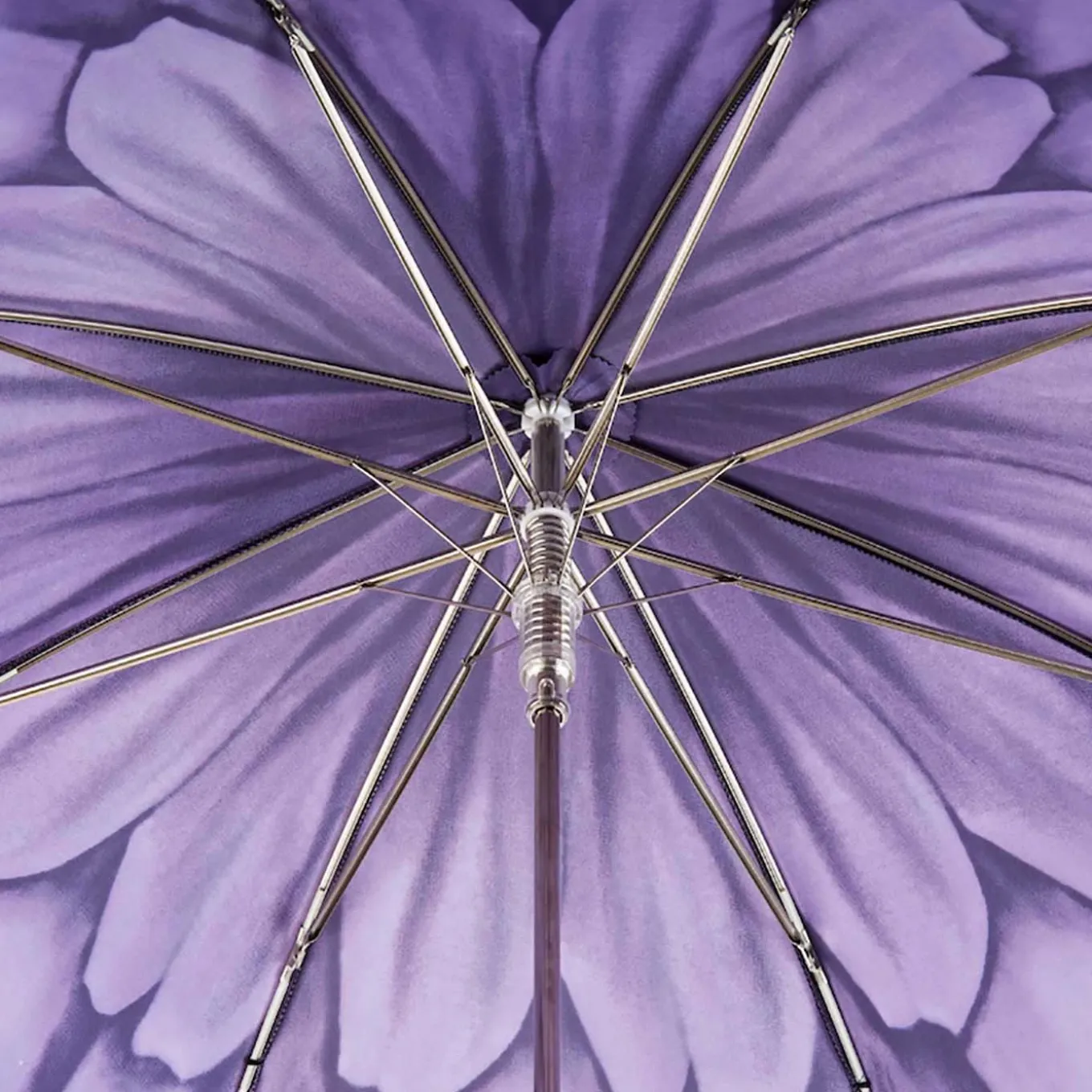 Purple Dahlia Umbrella