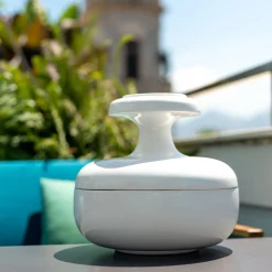 Pyxis white container and serving dish