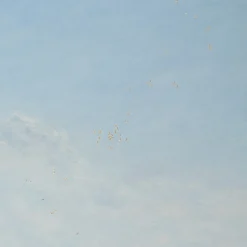 Raising Hope Painting