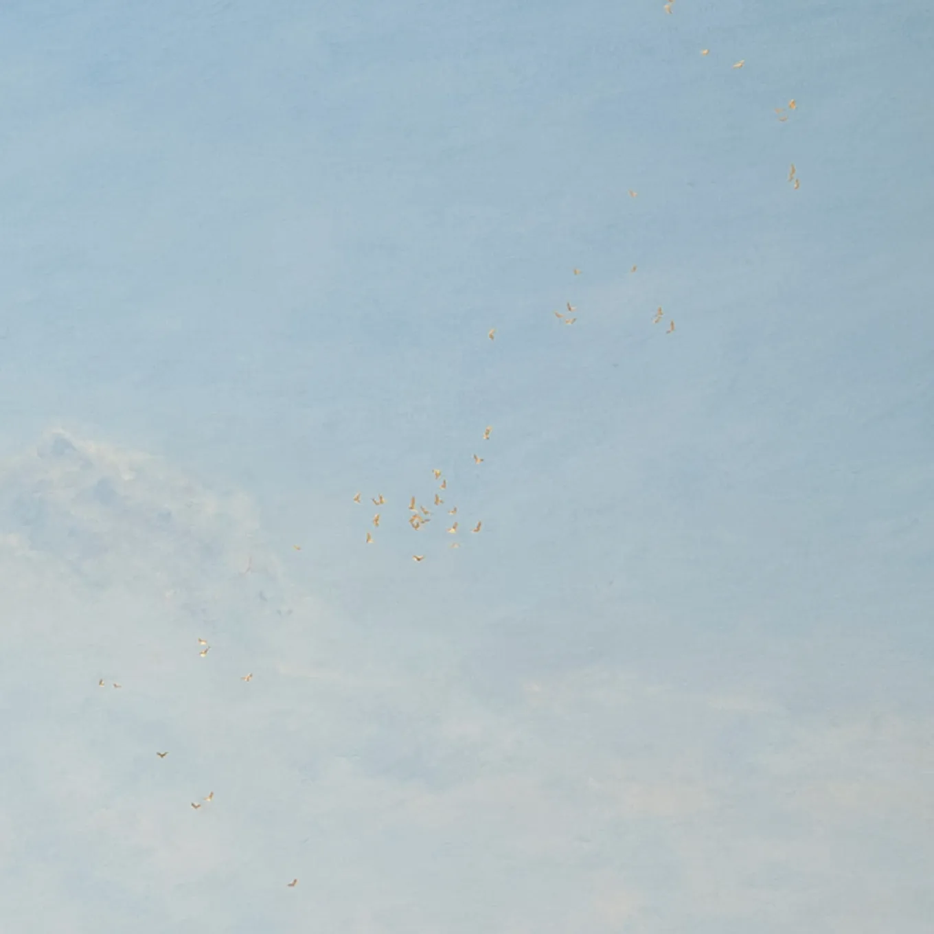 Raising Hope Painting