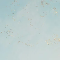 Raising Hope Painting