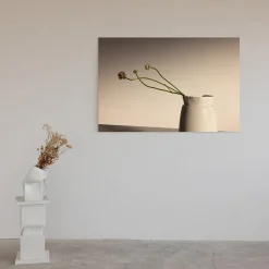 Ranunculus in Breganze Limited Edition Photograph