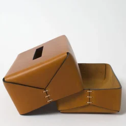 Regular Rectangular-Cut Brown Tissue Box by Oscar Maschera