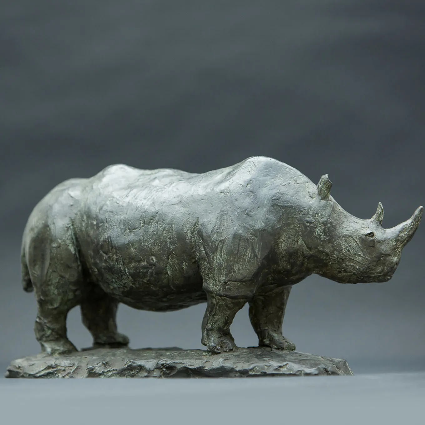 Rhinoceros Bronze Sculpture