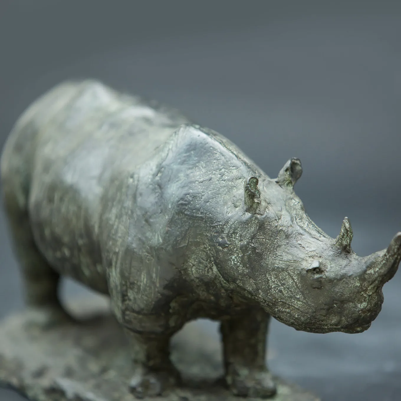 Rhinoceros Bronze Sculpture