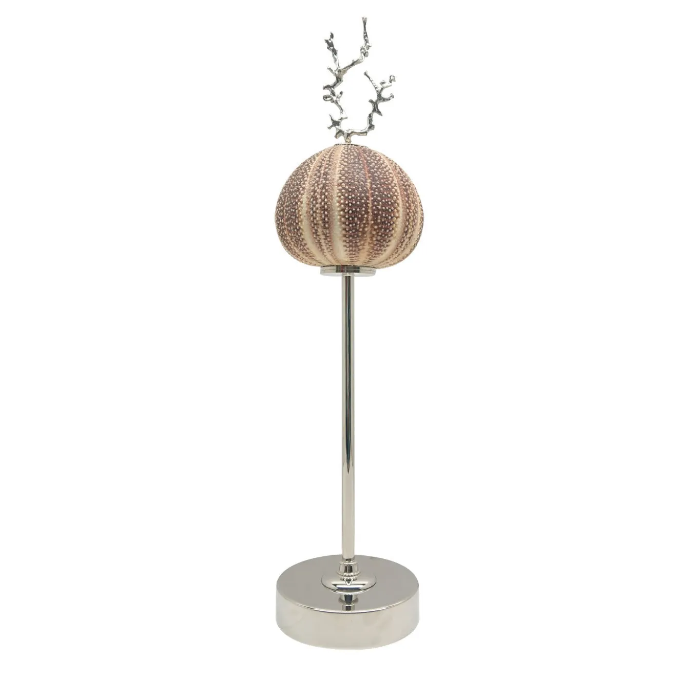 Rich-O Lamp Coral