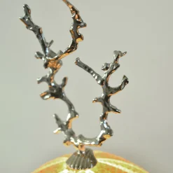 Rich-O Lamp Coral