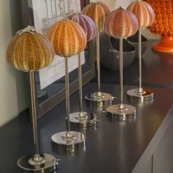 Rich-O Lamp Coral