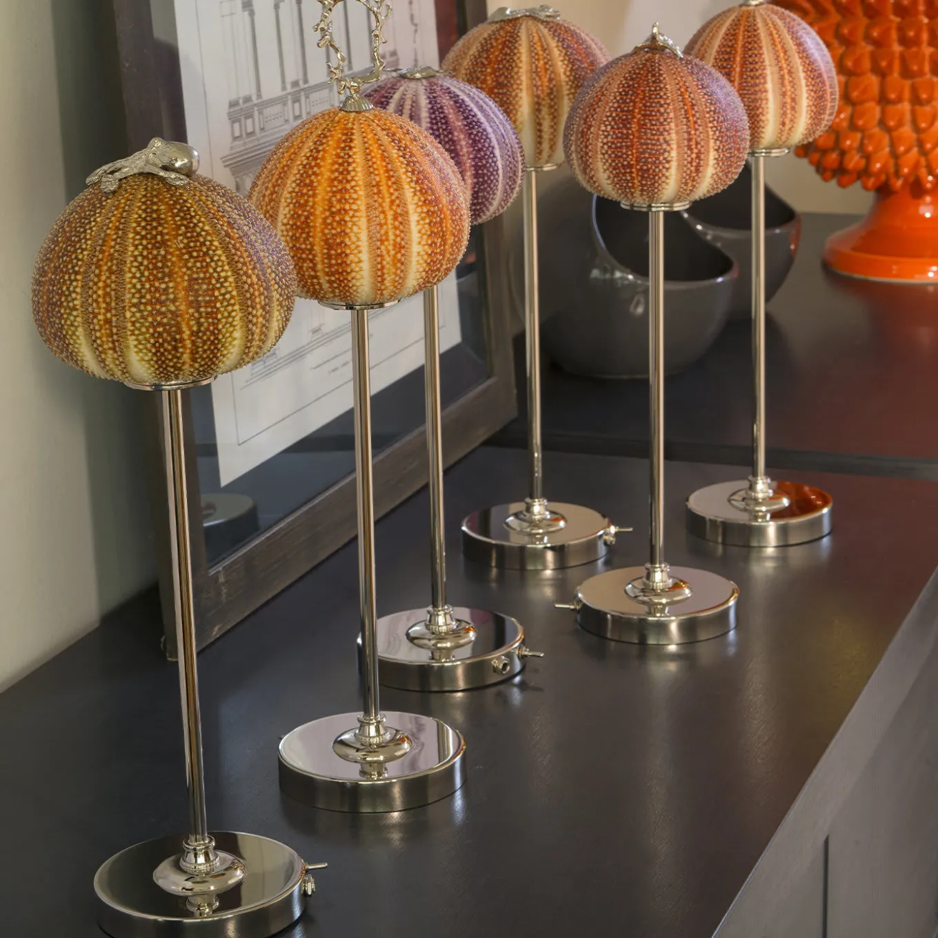 Rich-O Lamp Coral