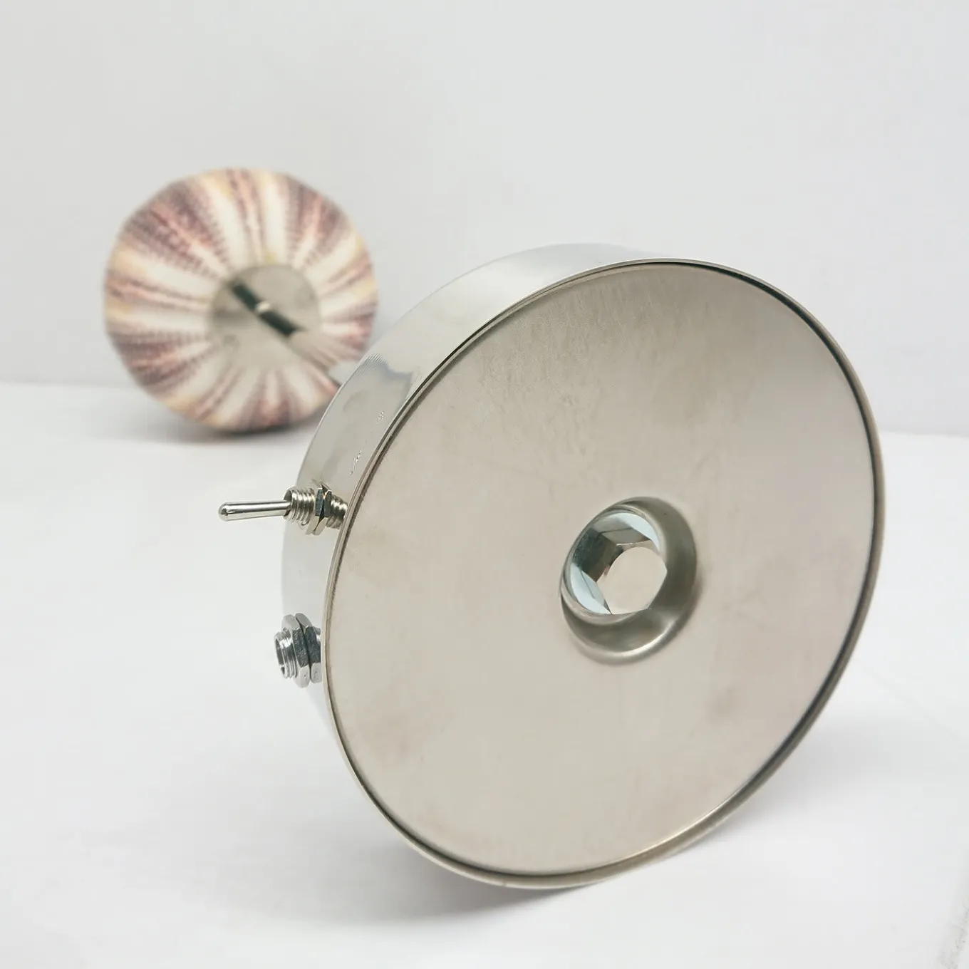 Rich-O Lamp Coral