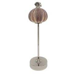 Rich-O Lamp Fish