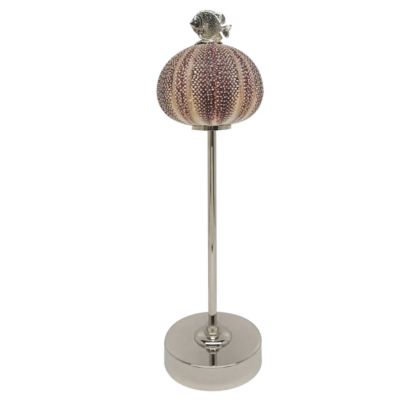 Rich-O Lamp Fish