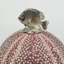 Rich-O Lamp Fish