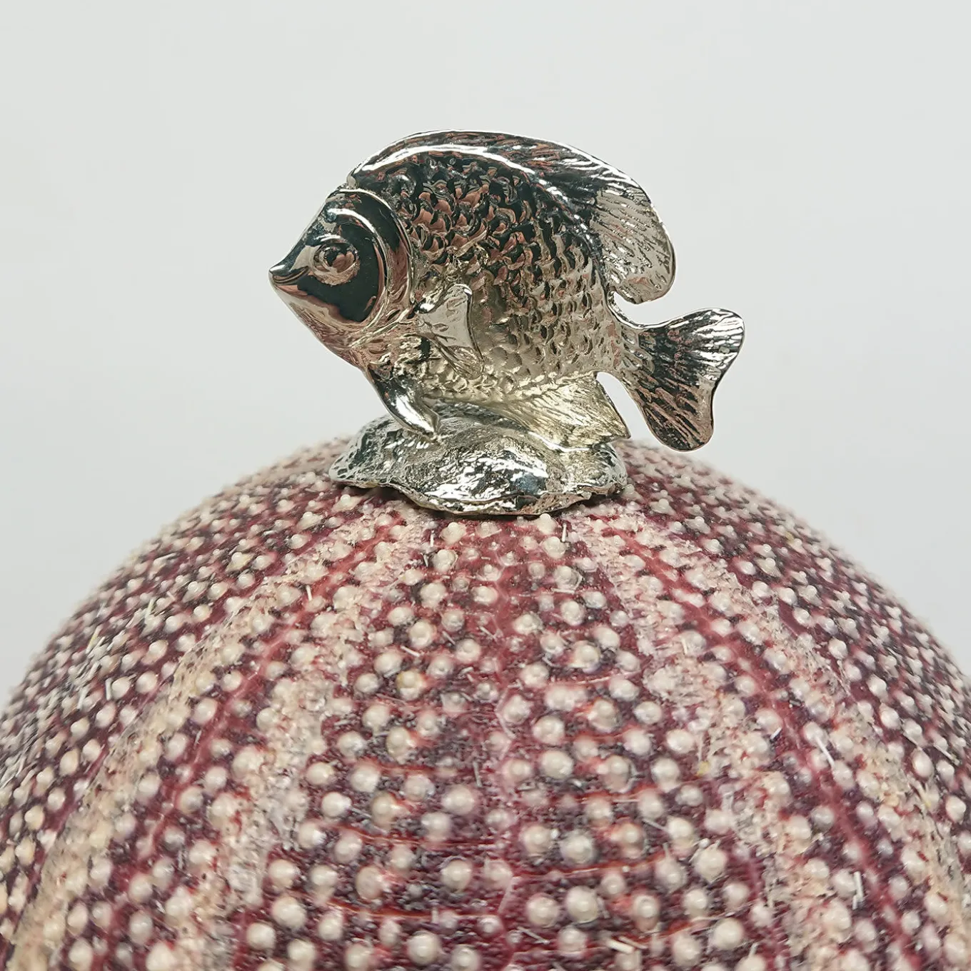 Rich-O Lamp Fish