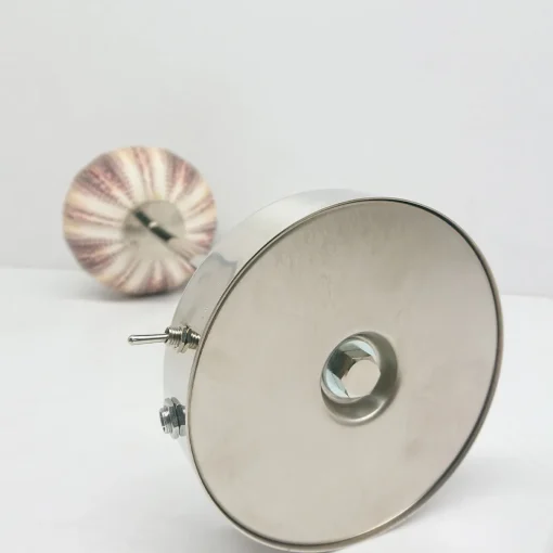 Rich-O Lamp Fish