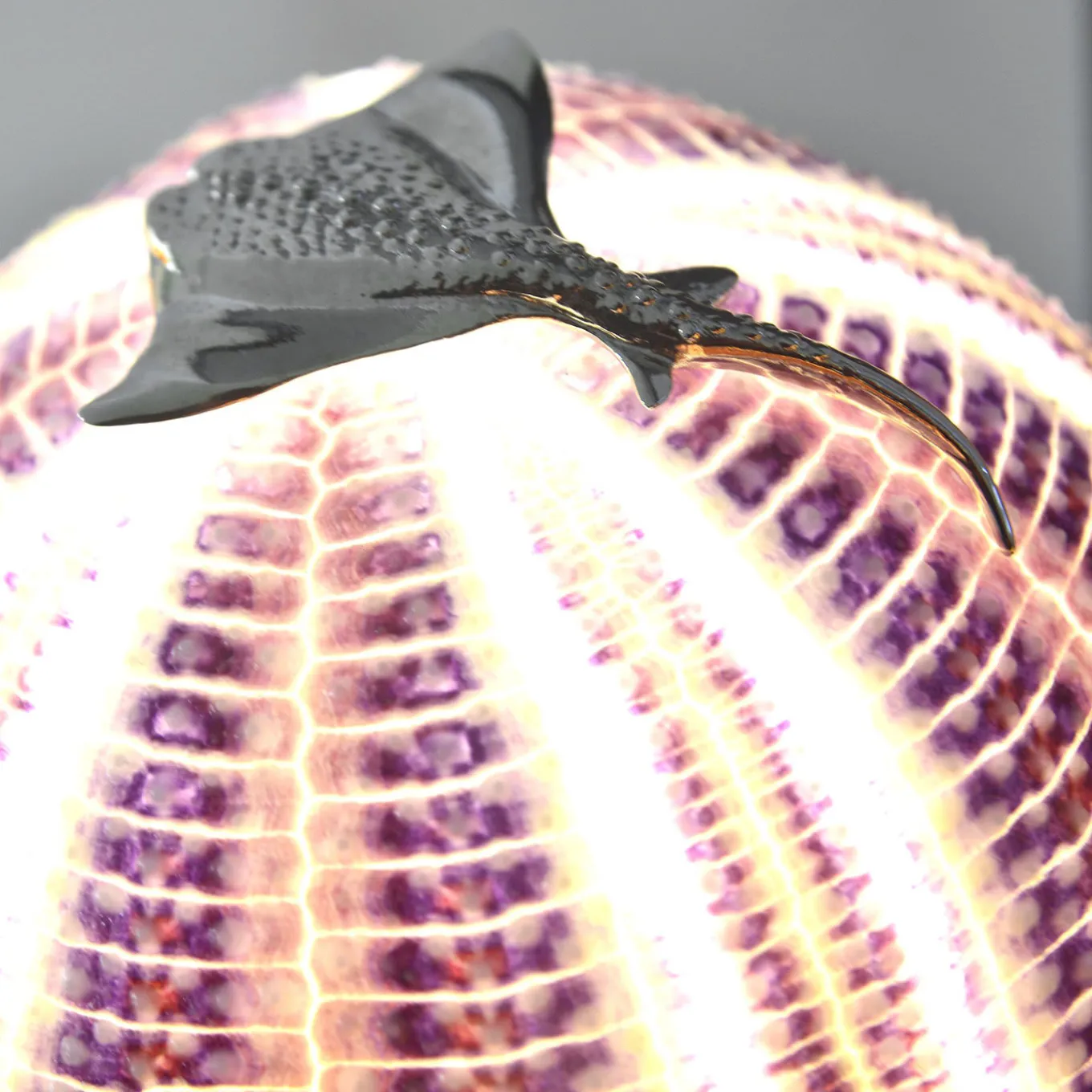 Rich-O Lamp Manta Fish