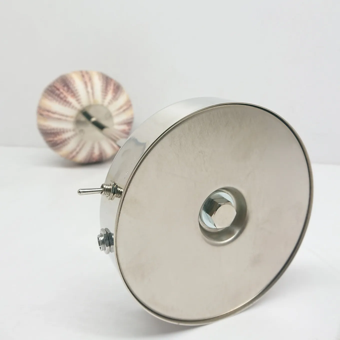 Rich-O Lamp Manta Fish