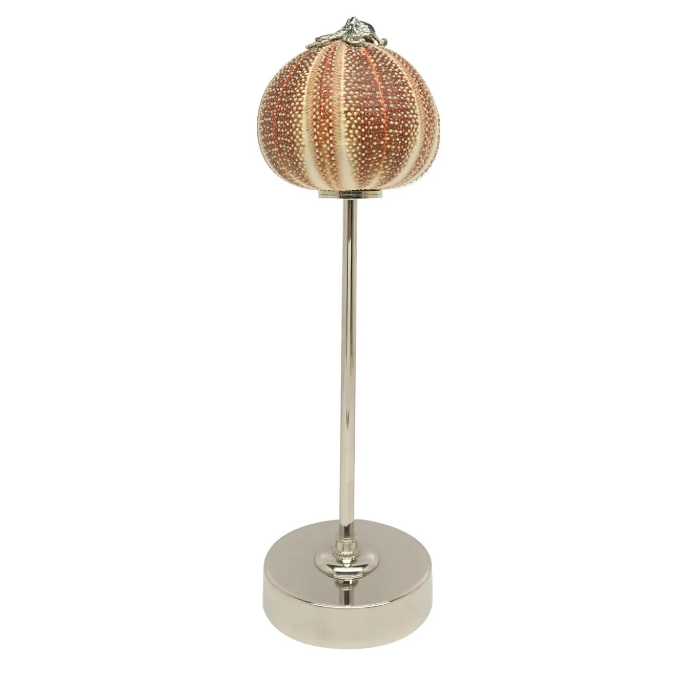 Rich-O Lamp Octopus
