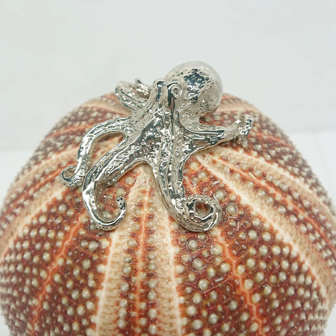 Rich-O Lamp Octopus