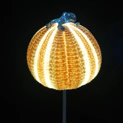 Rich-O Lamp Octopus