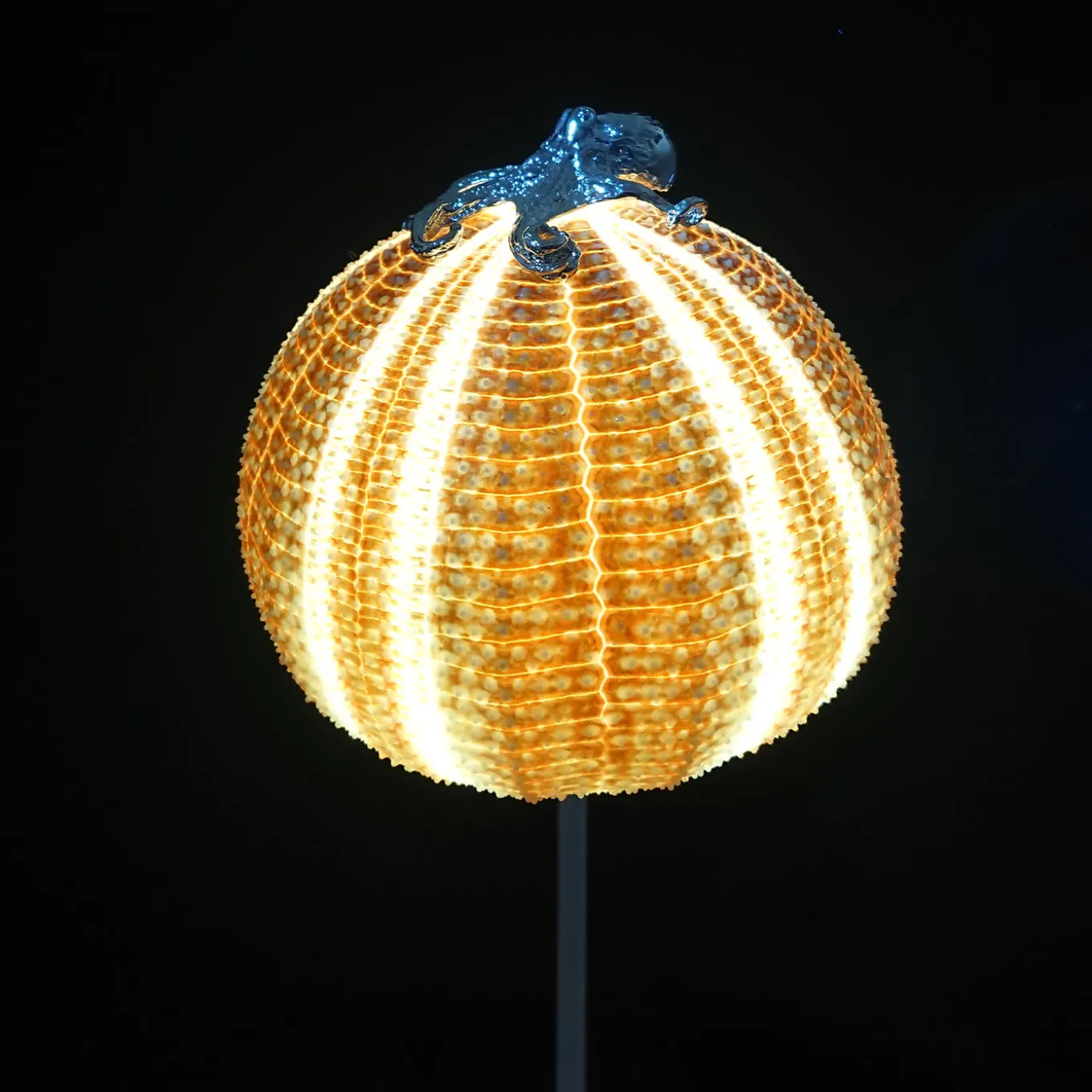 Rich-O Lamp Octopus