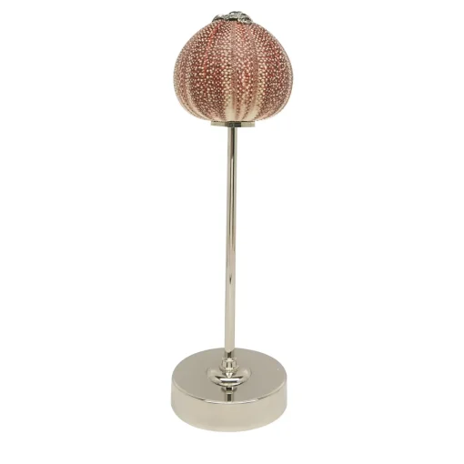 Rich-O Lamp Starfish