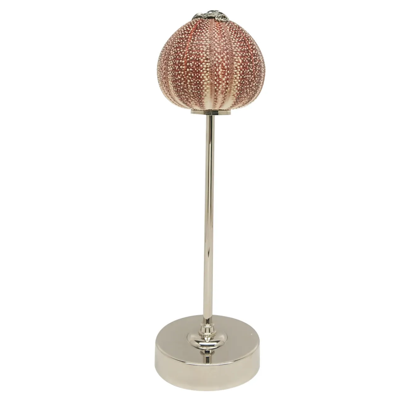 Rich-O Lamp Starfish