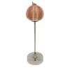 Rich-O Lamp Turtle