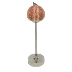 Rich-O Lamp Turtle